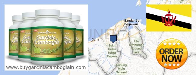 Où Acheter Garcinia Cambogia Extract en ligne Brunei